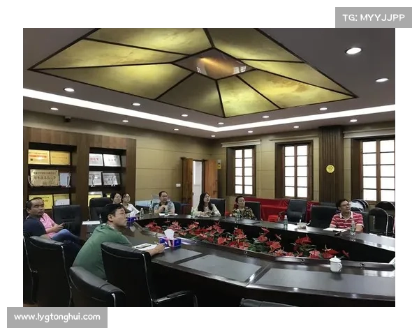 如何提升龙跃武器蓄能值机制的优化策略与应用研究 如何提升龙跃武器蓄能值机制的优化策略与应用研究